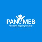 PANAMEB-Benin-logo